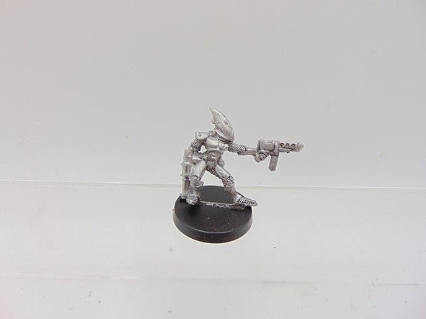 Eldar Guardian / RTO4 Space Elves Gaedhil Quickshadow