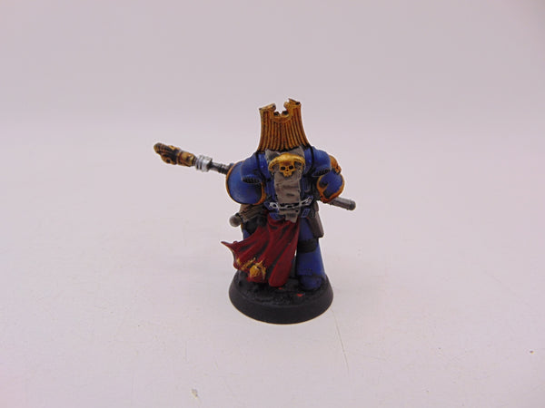 Librarian