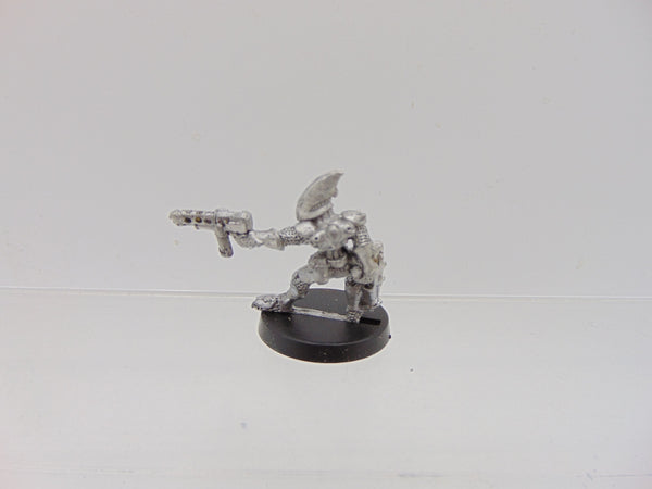 Eldar Guardian / RTO4 Space Elves Gaedhil Quickshadow