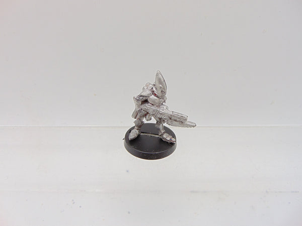 Space Elves Nael Fleetfoot / Eldar Guardians Standard Bearer