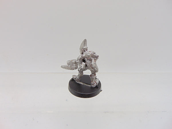 Space Elves Nael Fleetfoot / Eldar Guardians Standard Bearer