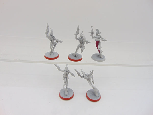 Harlequin Troupe