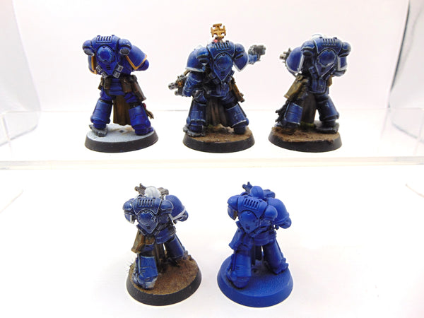 Sternguard Veterans