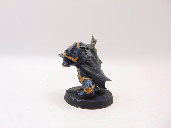 Chosen Champion Draznicht