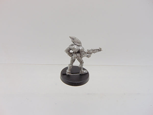 Guardian / Space Elves Caetra Darkflight