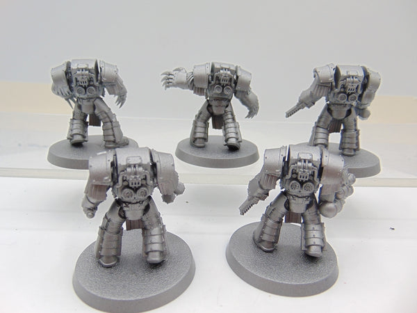 Cataphractii Terminator Squad