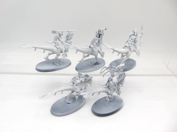Raptadon Hunters