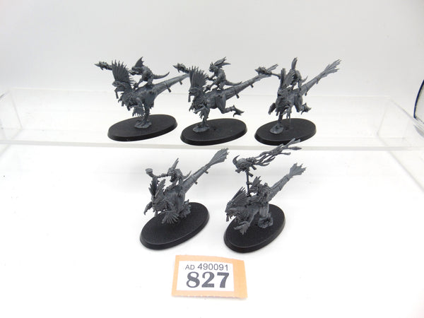 Raptadon Chargers