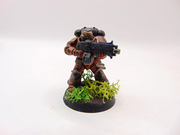 Brother Vignius