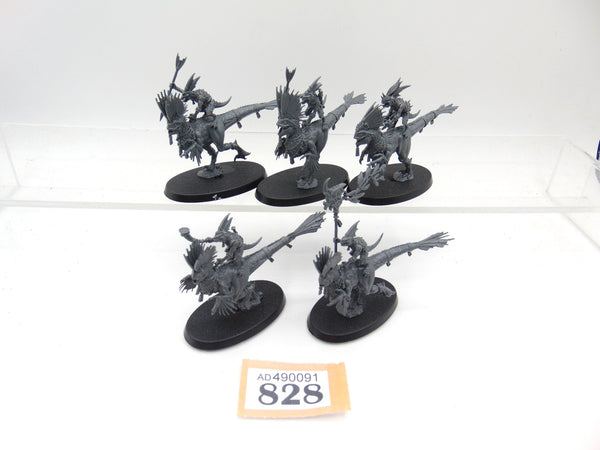 Raptadon Hunters