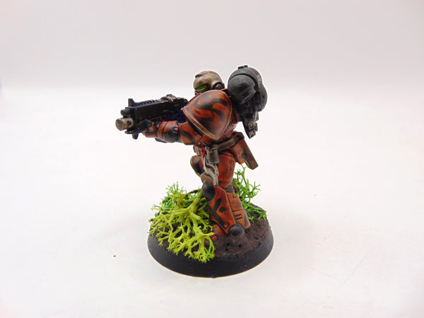 Brother Vignius