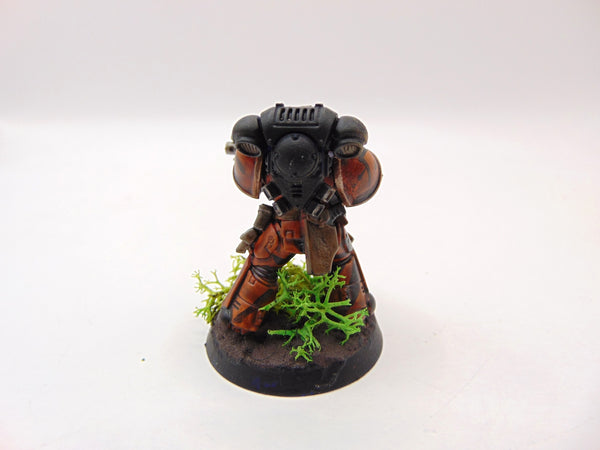 Brother Vignius