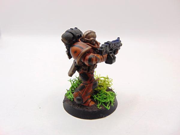 Brother Vignius