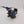 Raider