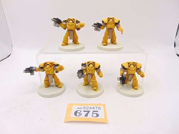 Cataphractii Terminator Squad