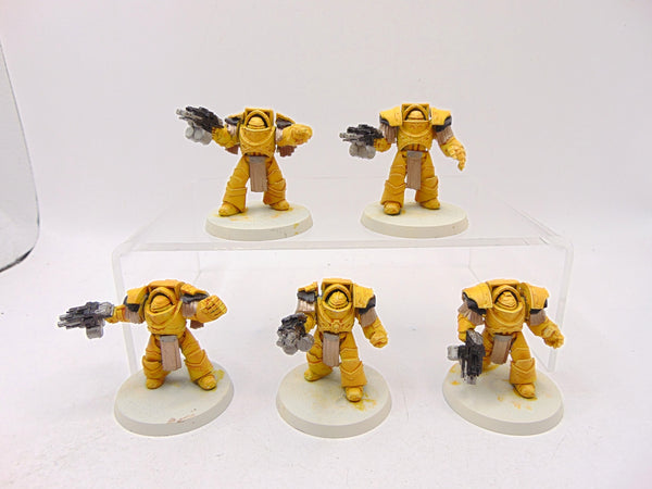 Cataphractii Terminator Squad