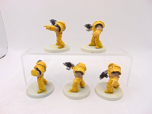 Cataphractii Terminator Squad