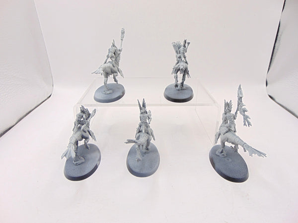 Raptadon Chargers