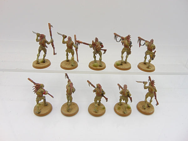 Kroot Carnivores