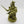 Plague Champion Gangrus