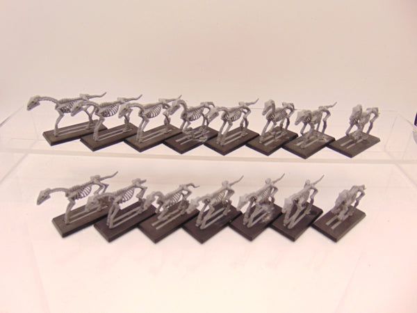 Skeleton Horses