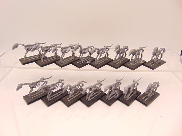 Skeleton Horses