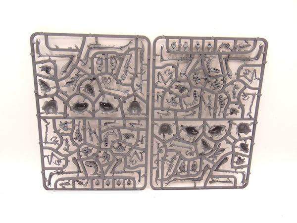 Ash Waste Nomads Dustback Helamites