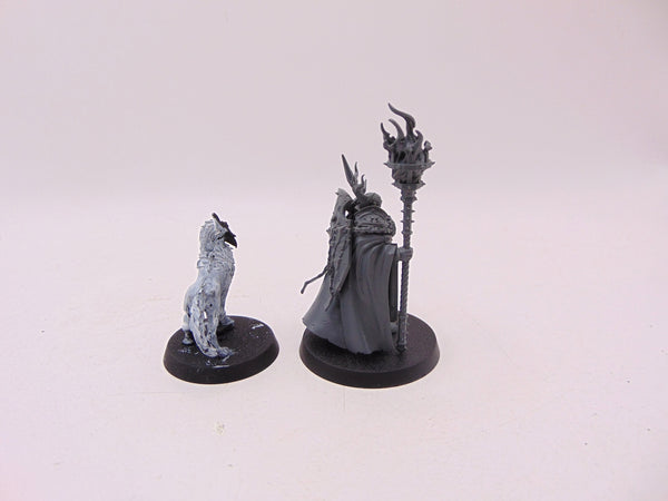 Lord Veritant with Gryph Crow