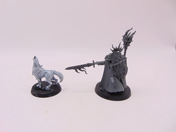 Lord Veritant with Gryph Crow
