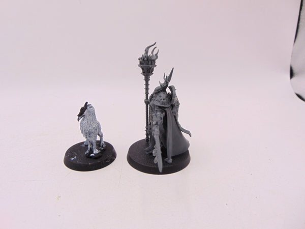 Lord Veritant with Gryph Crow