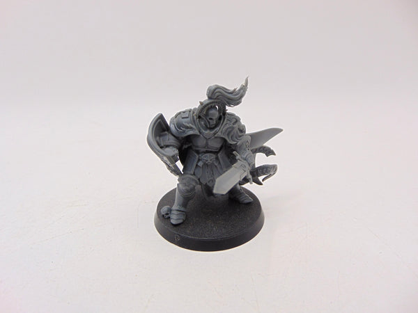 Knight Questor