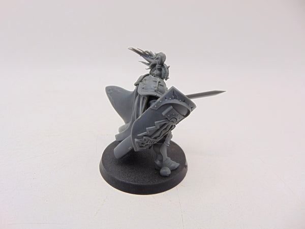Knight Questor