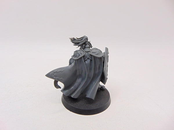 Knight Questor