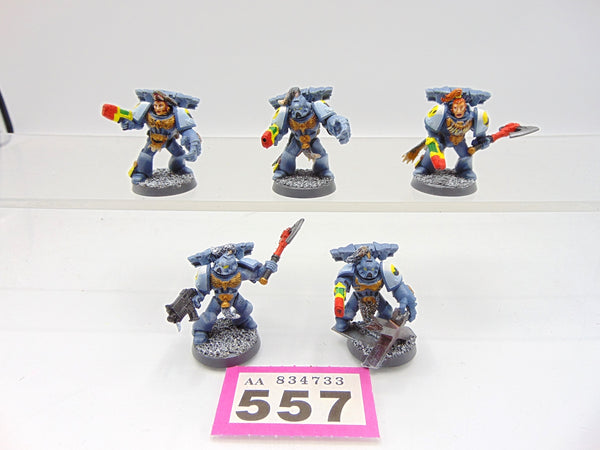 Wolf Guard