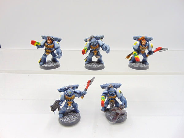 Wolf Guard
