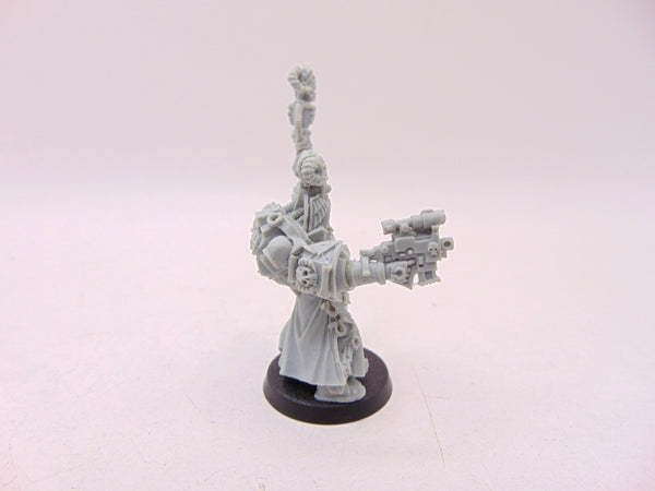 Chief Librarian Tigurius