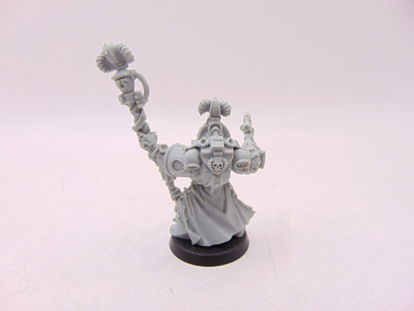 Chief Librarian Tigurius