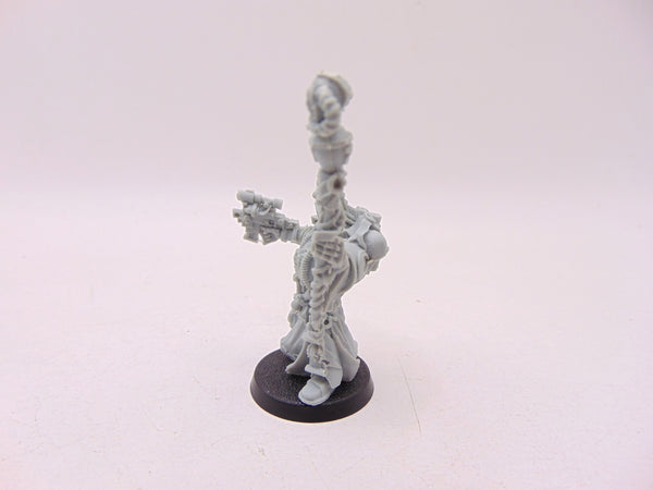 Chief Librarian Tigurius