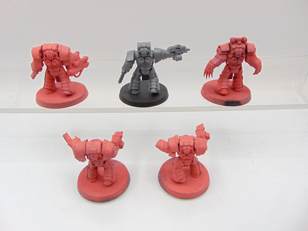 Cataphractii Terminator Squad