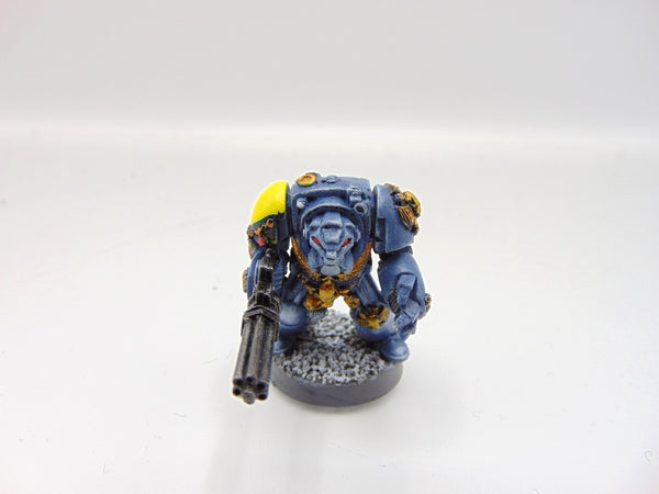 Wolf Guard Terminator