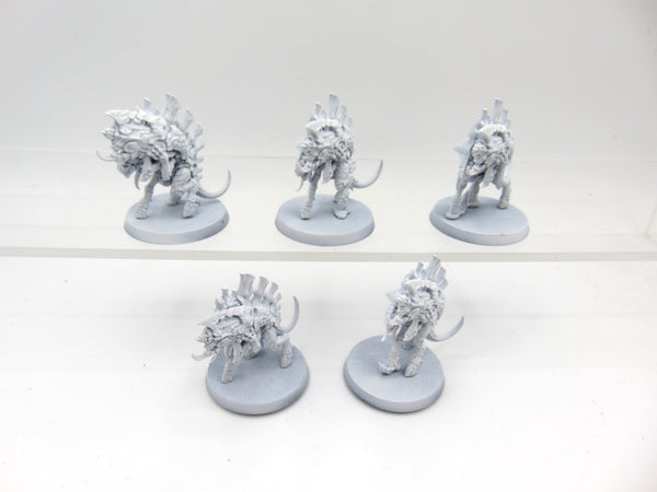 Barbgaunts