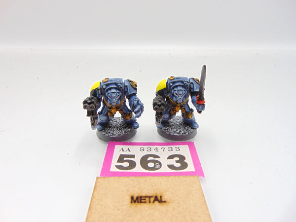 Wolf Guard Terminator