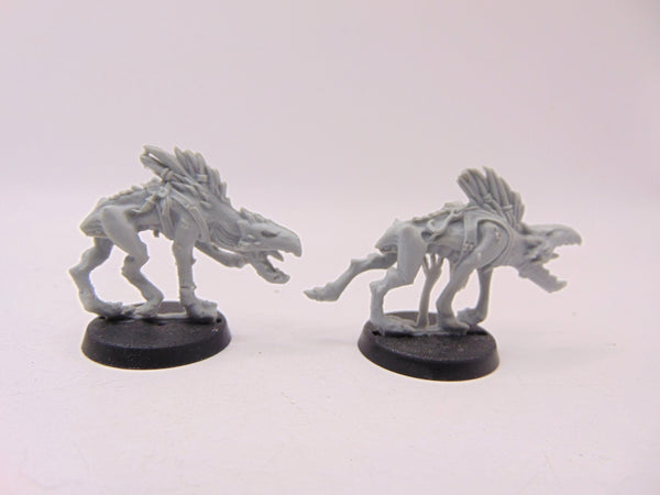 Kroot Hounds