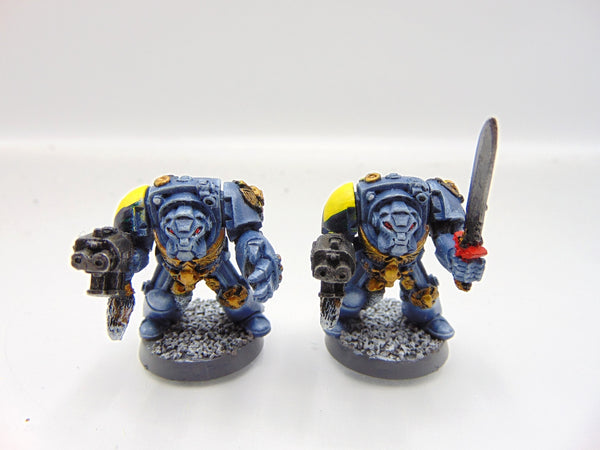 Wolf Guard Terminator