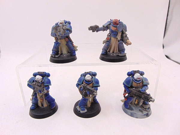 Sternguard Veterans