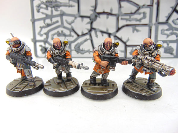 Neophyte Hybrids
