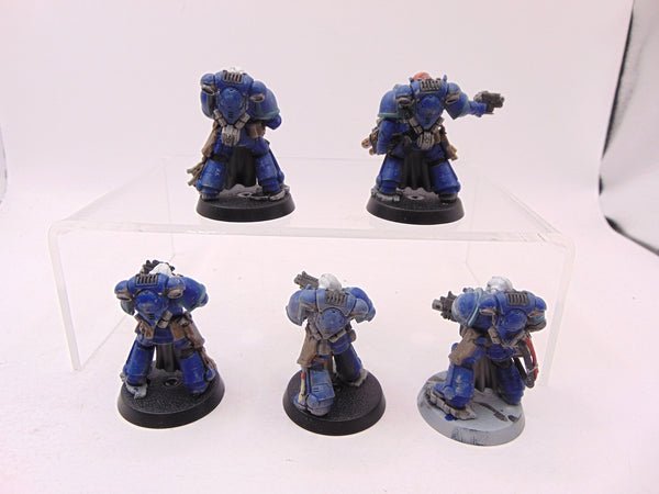Sternguard Veterans