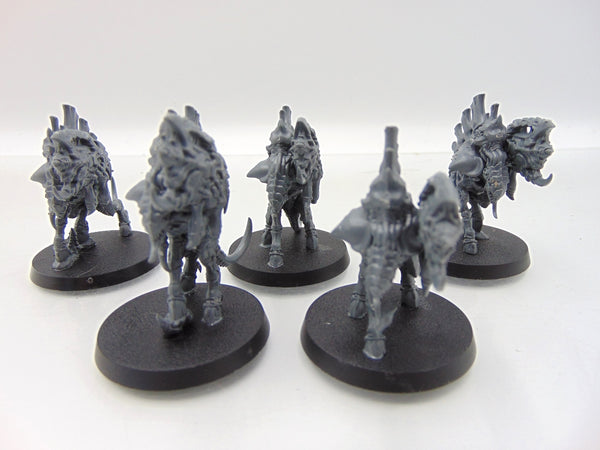 Barbgaunts