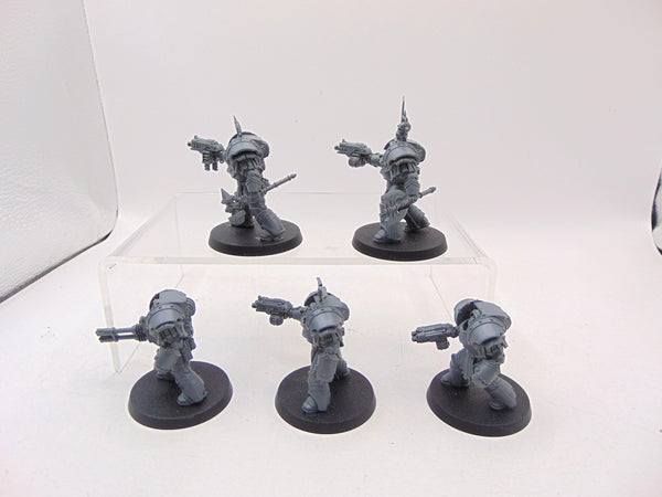 Cataphracti Terminator Squad