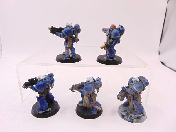 Sternguard Veterans